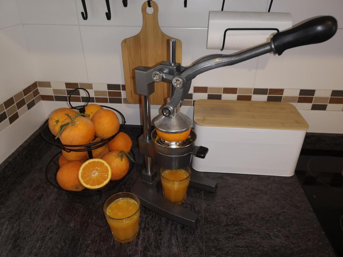 Del Mar 1 Deluxe Apartment Torrevieja Centrum Eksteriør billede